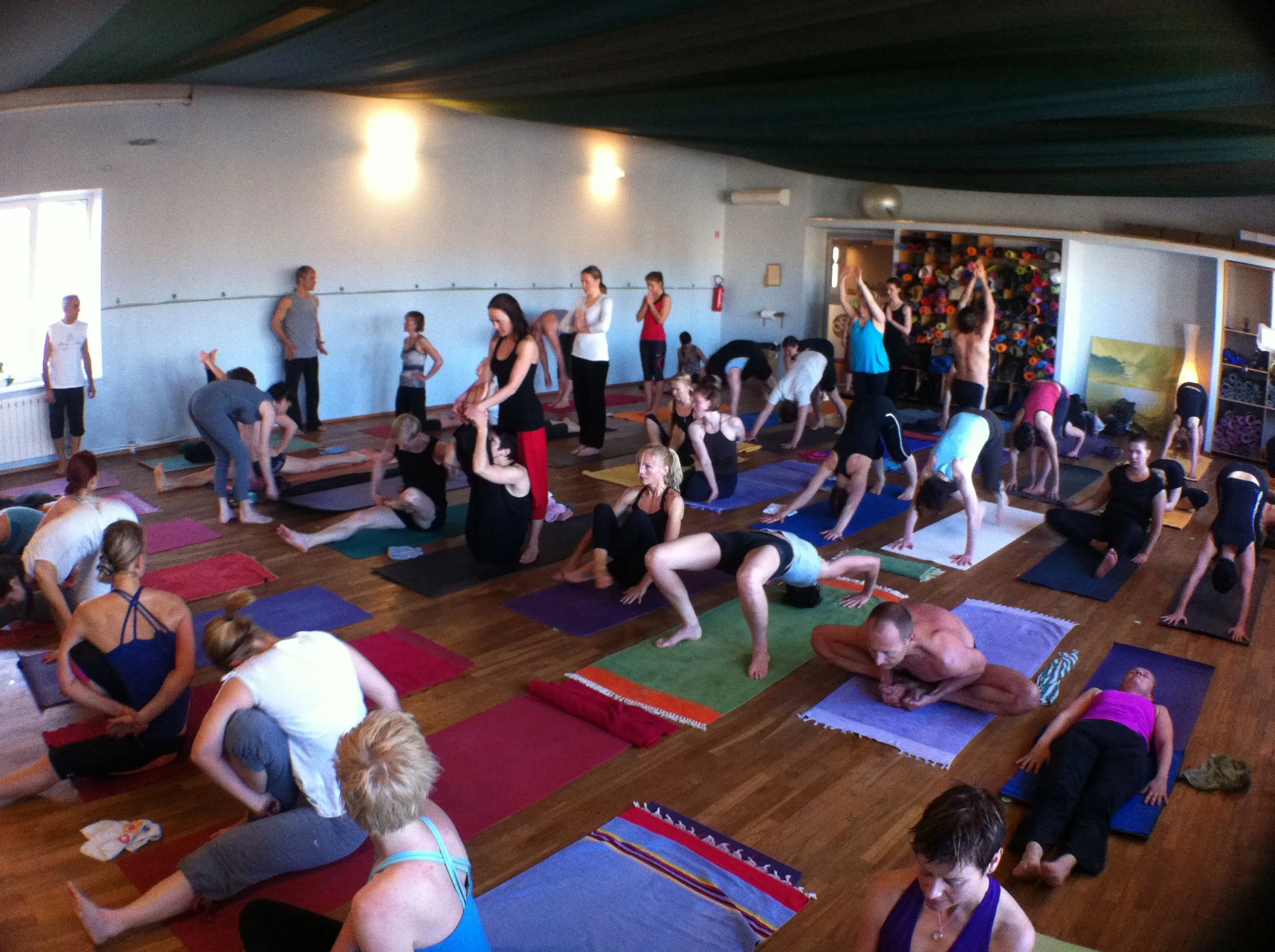 Mysore stiilis praktika 2011